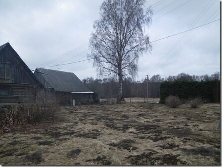 Kevad2011 024